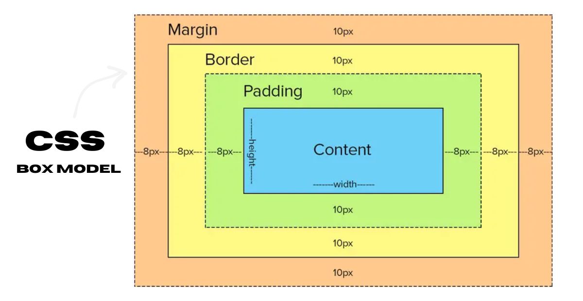 CSS BOX Model