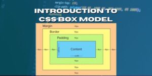 CSS BOX Model